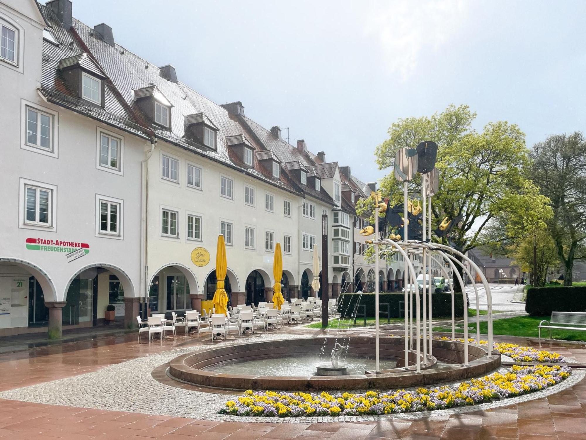 Markt 22 Am Marktplatz Landesgartenschau Freudenstadt Buitenkant foto